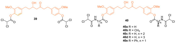 graphic file with name molecules-27-08891-i024.jpg