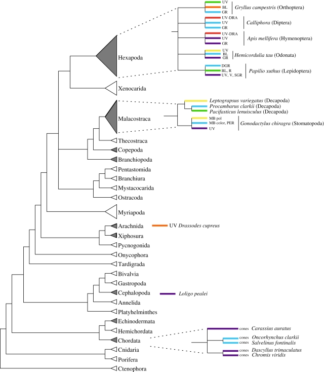 Figure 1.