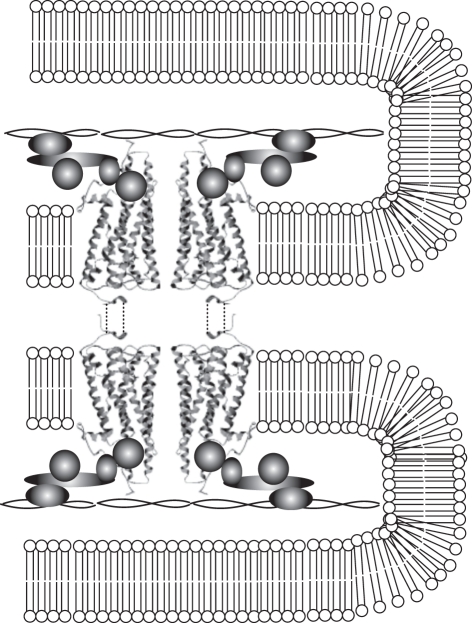 Figure 3.