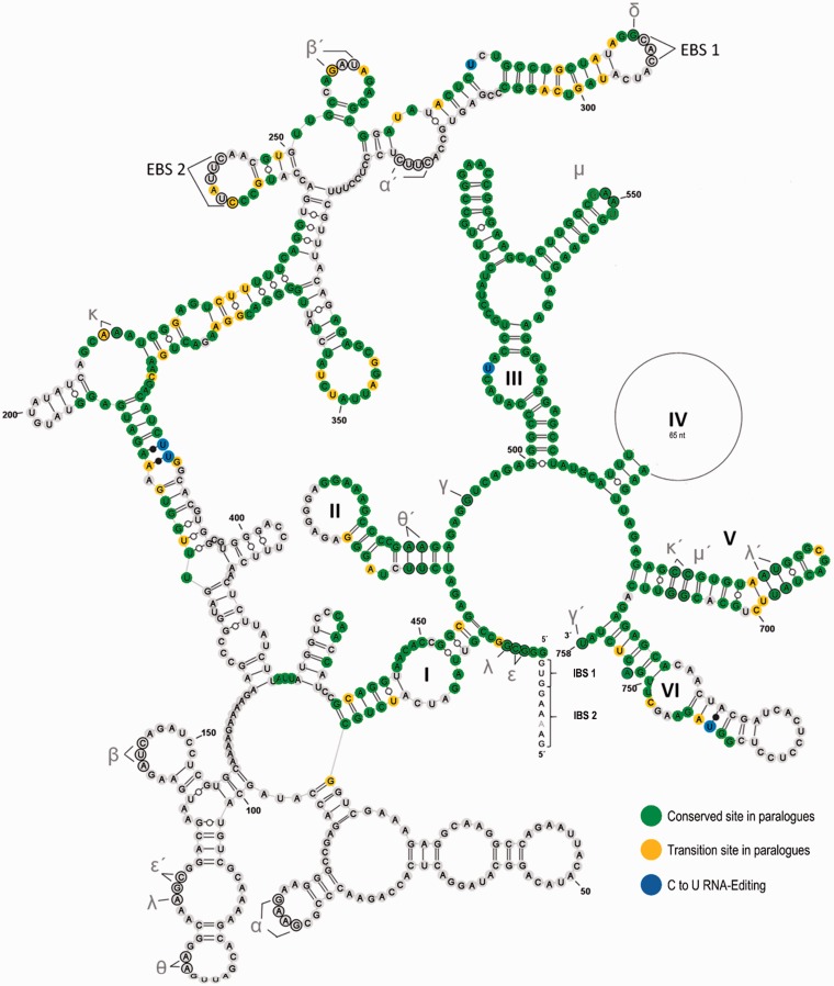 Fig. 6.—