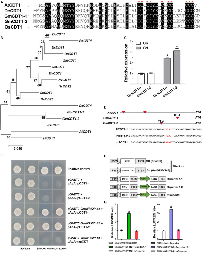 FIGURE 6