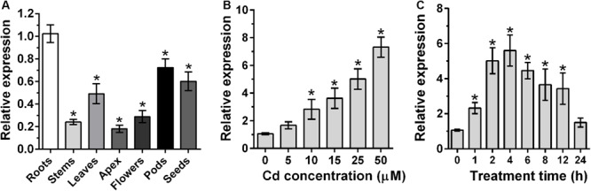 FIGURE 1