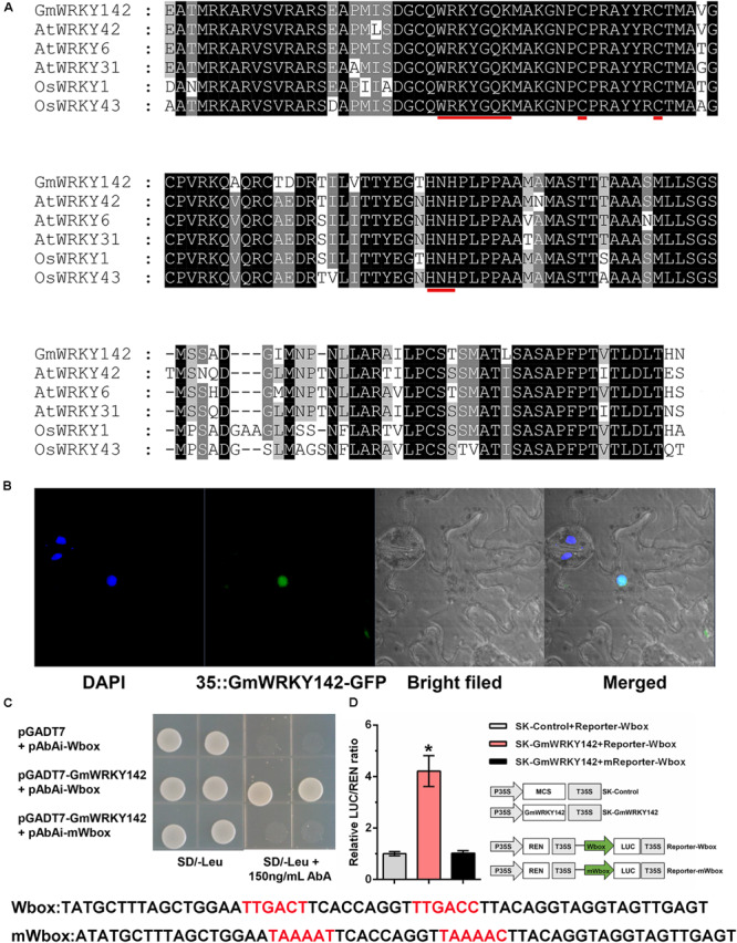 FIGURE 2