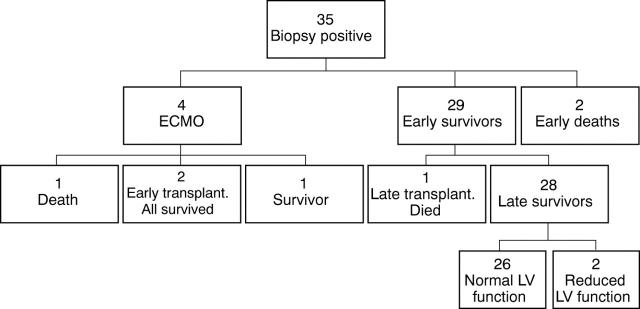 Figure 1  