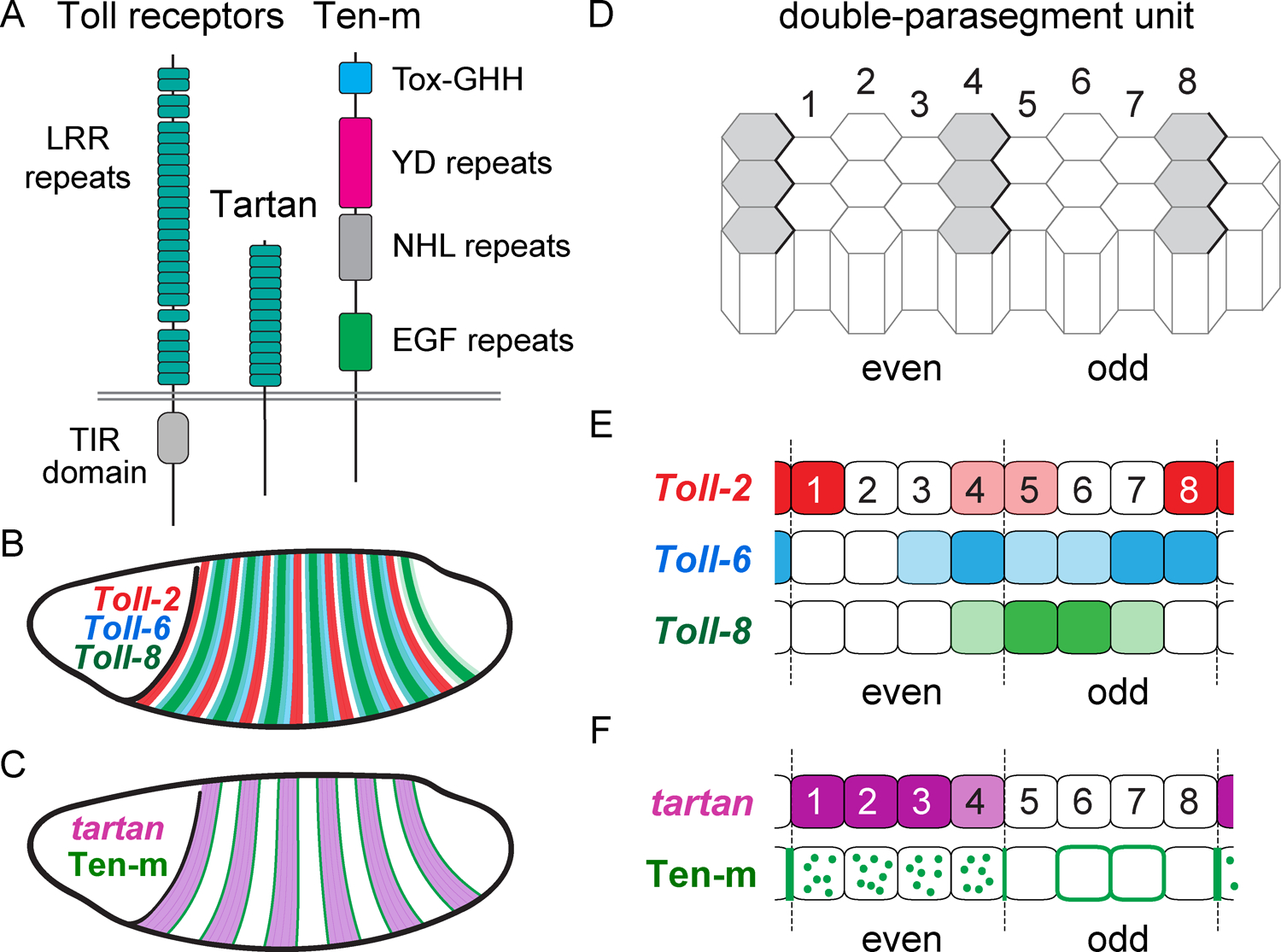 Figure 3.