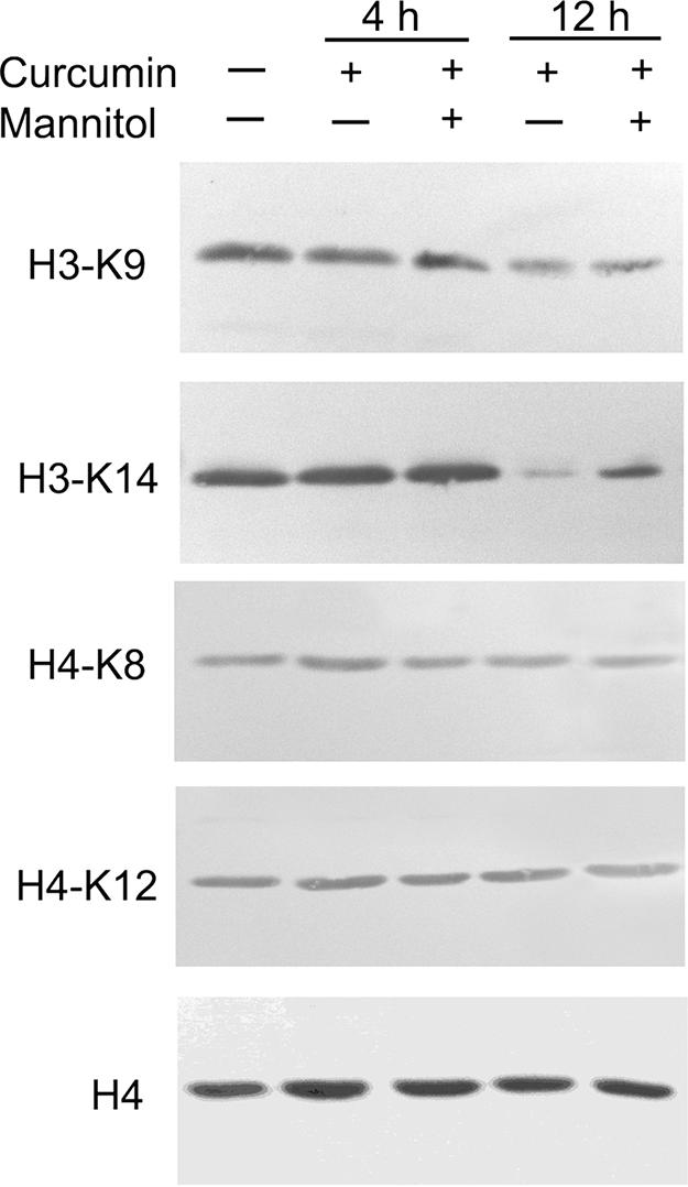 FIG. 5.