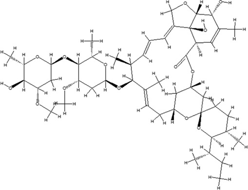 graphic file with name FMOLB_fmolb-2023-1060076_wc_tfx6.jpg