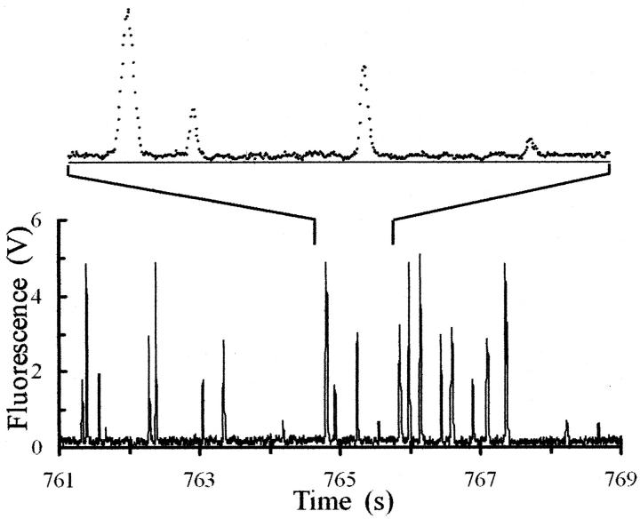 FIGURE 3