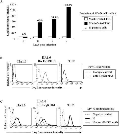 FIG. 2.