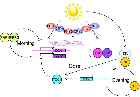 Fig. 2.