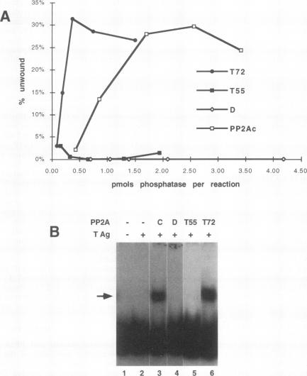 graphic file with name molcellb00007-0294-a.jpg