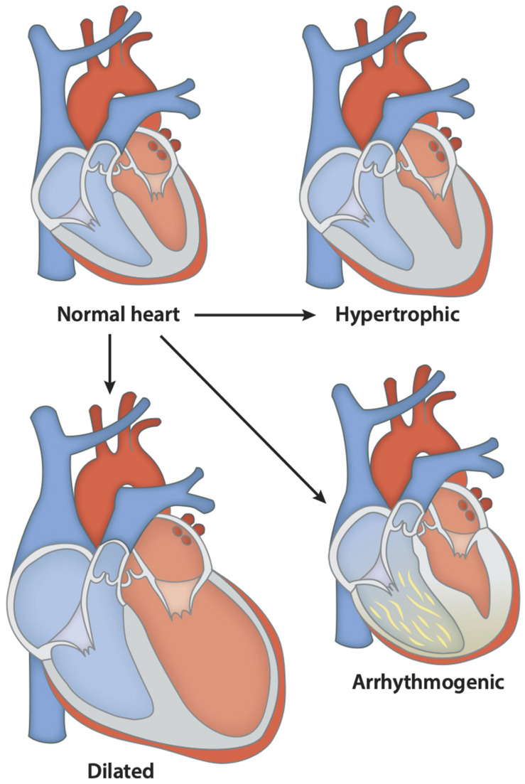 FIGURE 3