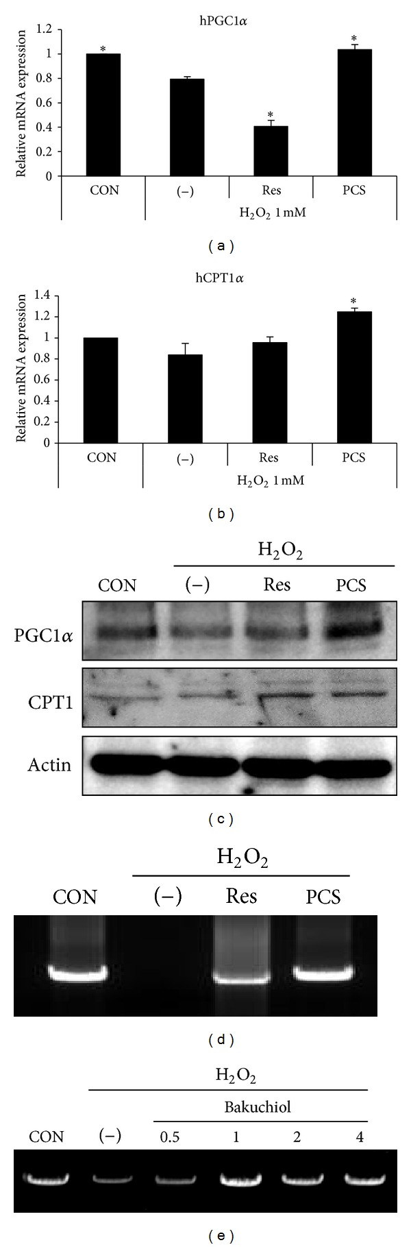 Figure 5