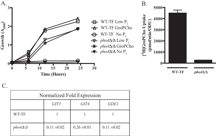 FIGURE 5.