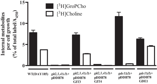 FIGURE 7.