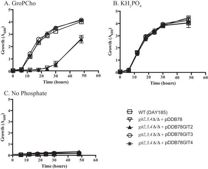 FIGURE 1.