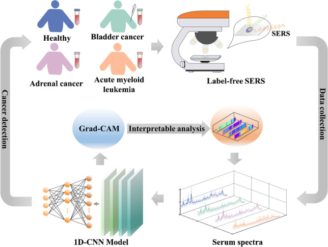 graphic file with name 216_2023_4730_Figa_HTML.jpg