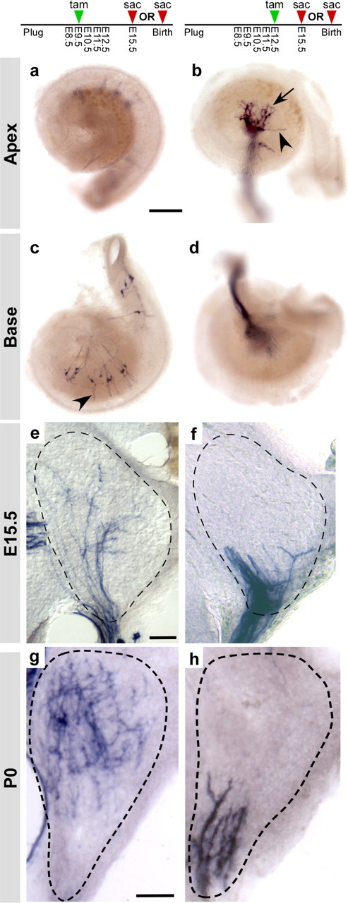 Figure 7.