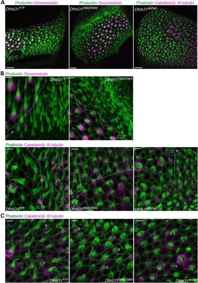 Figure 3.