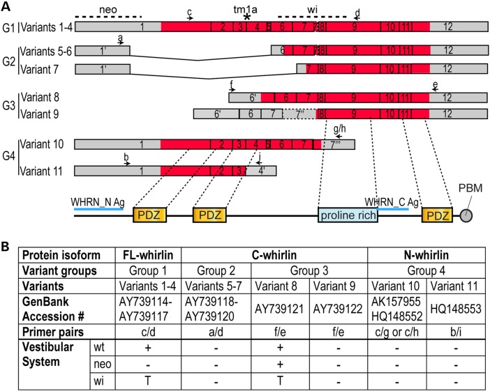 Figure 1.