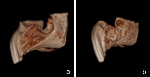 Fig. 8