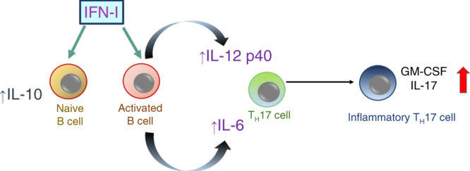 Fig. 10