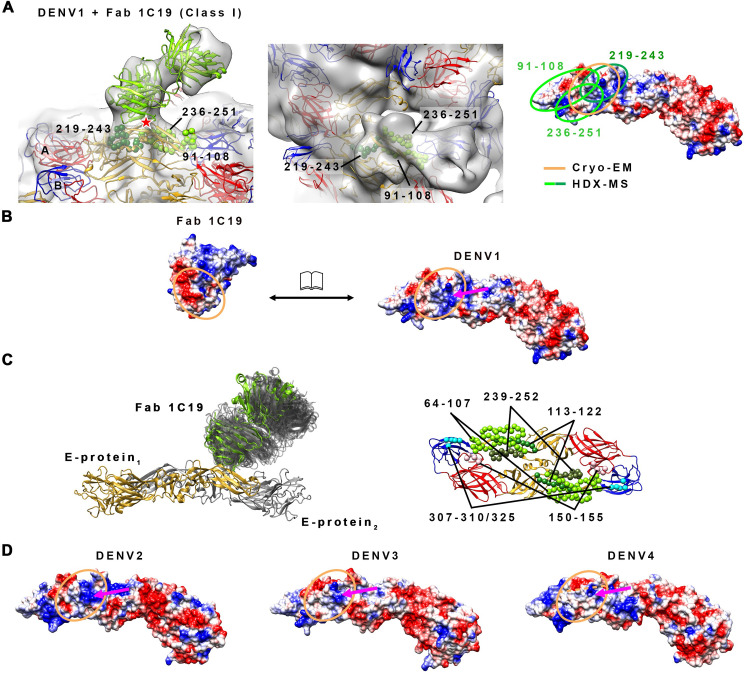 Fig 6