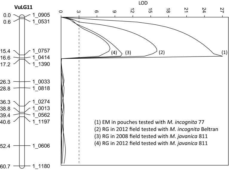 Fig. 3