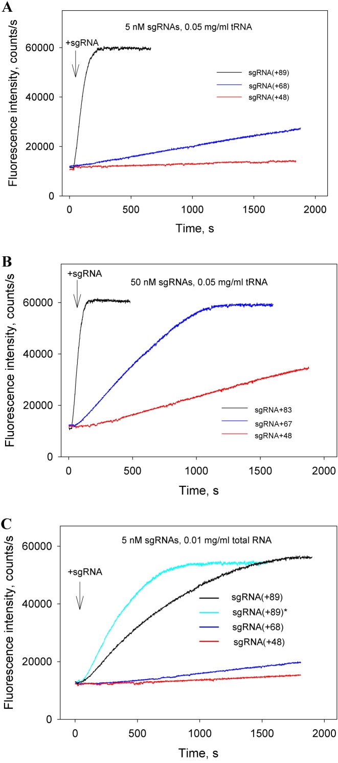 Figure 5.