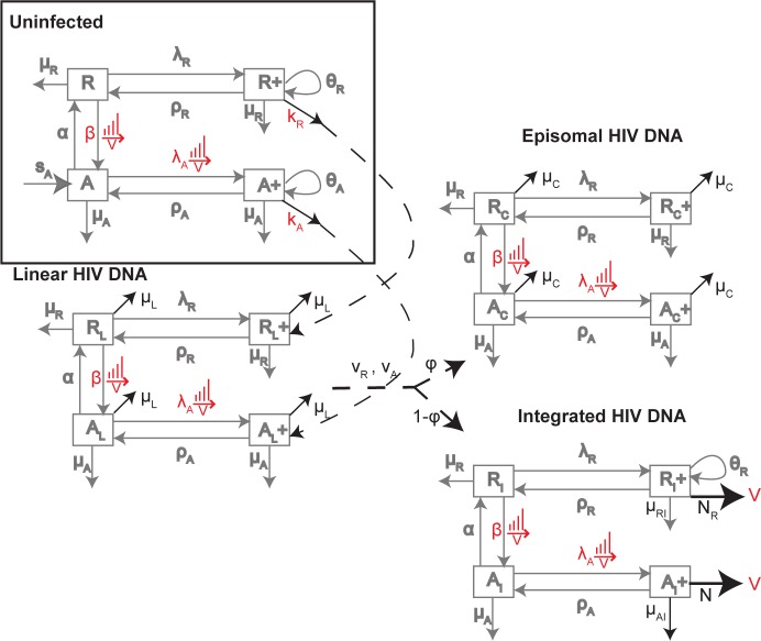 Fig 2