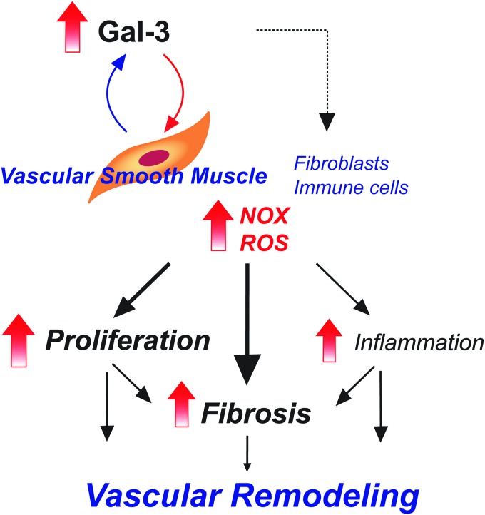 FIG. 6.