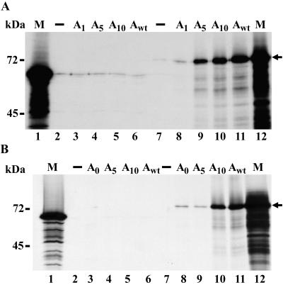 FIG. 8