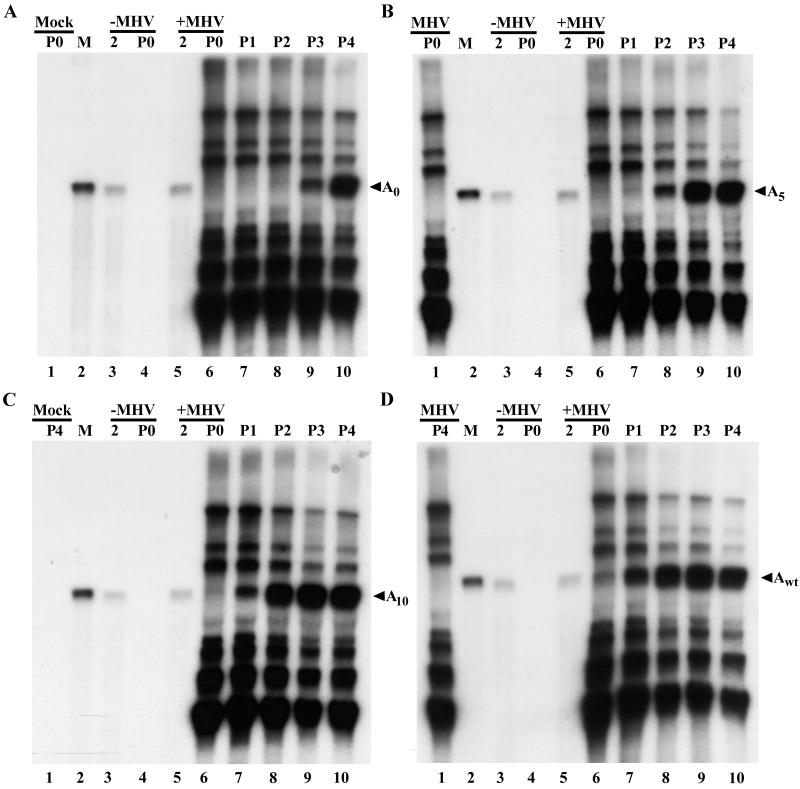 FIG. 6