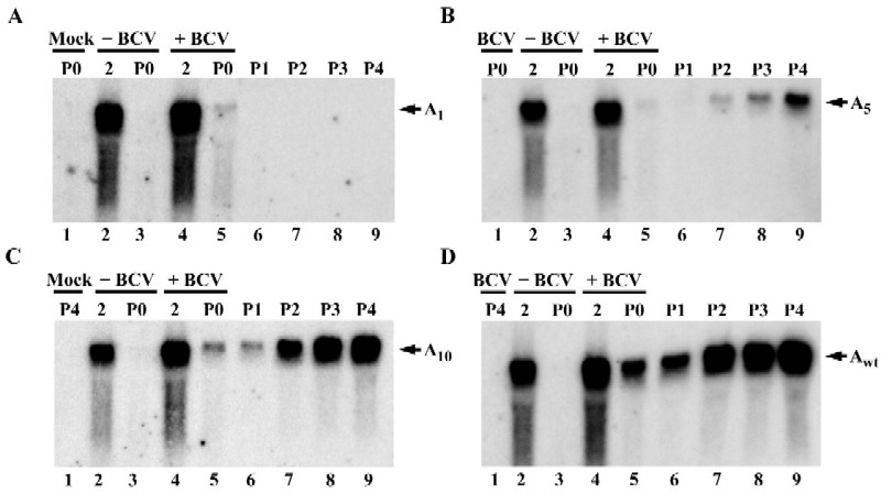 FIG. 5