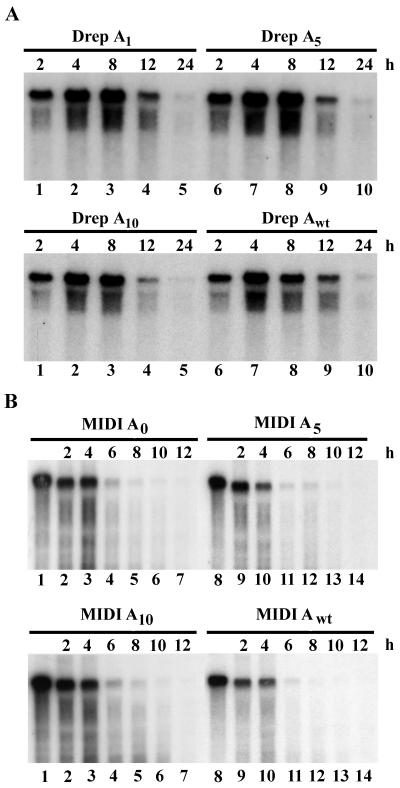 FIG. 7