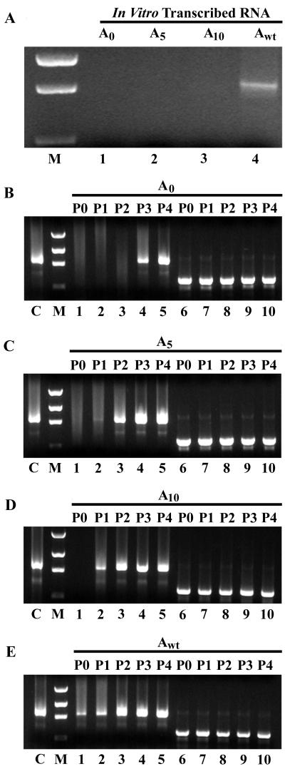 FIG. 9