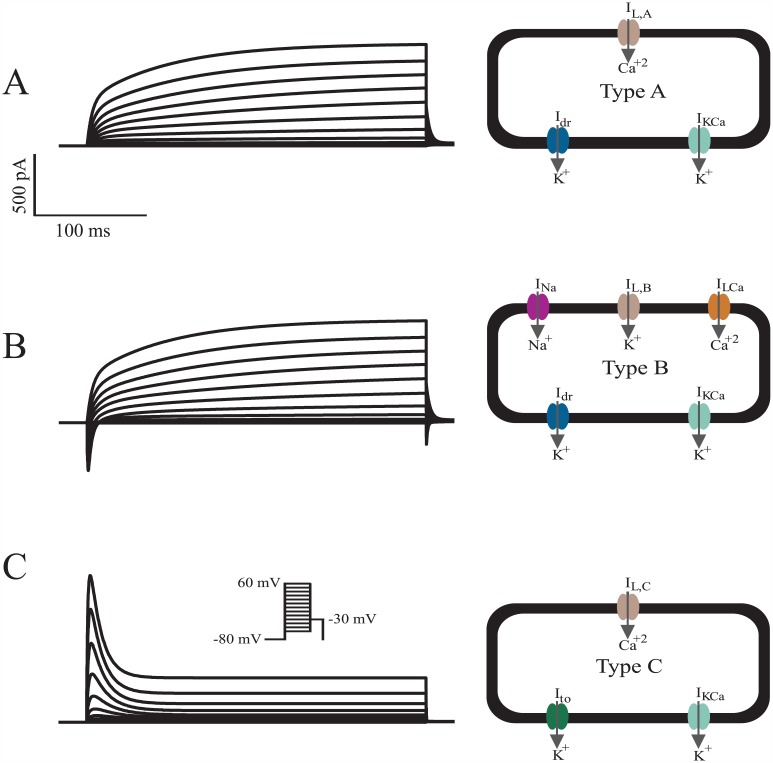 Fig 3