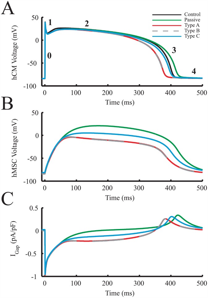 Fig 6