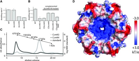 Figure 2.