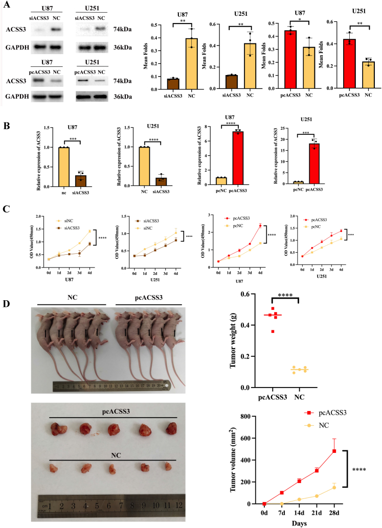 Fig. 15