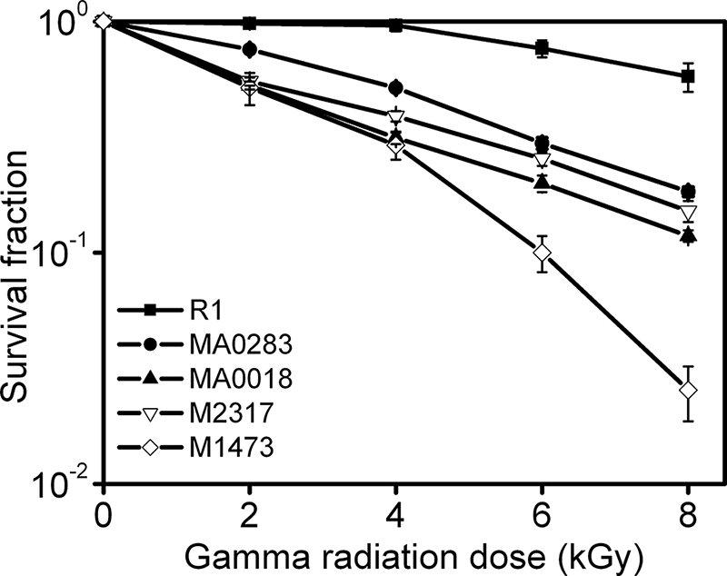 Fig. 8.