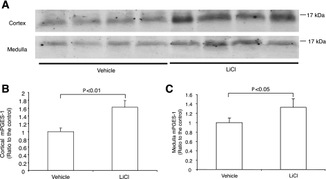 Fig. 9.