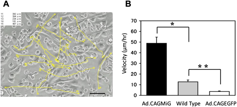 Fig. 4