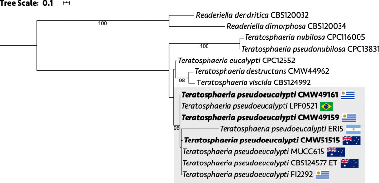 Fig. 7