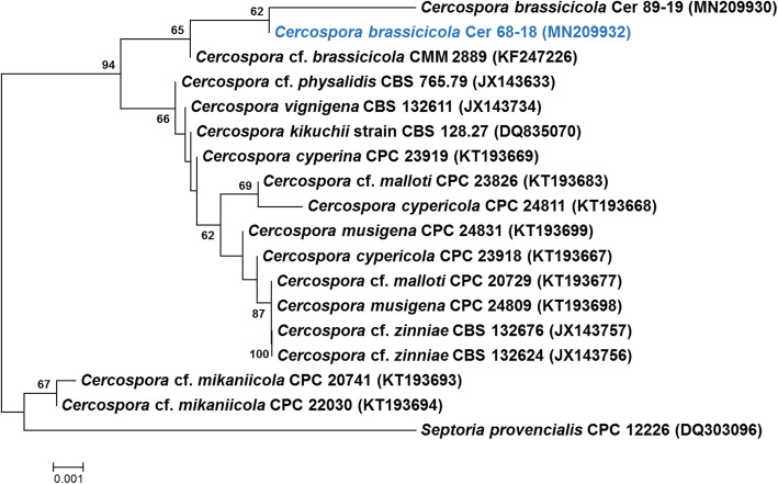 Fig. 3