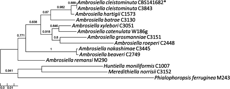 Fig. 1