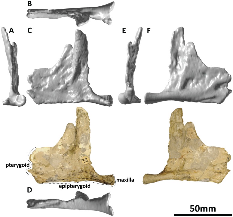 Figure 15