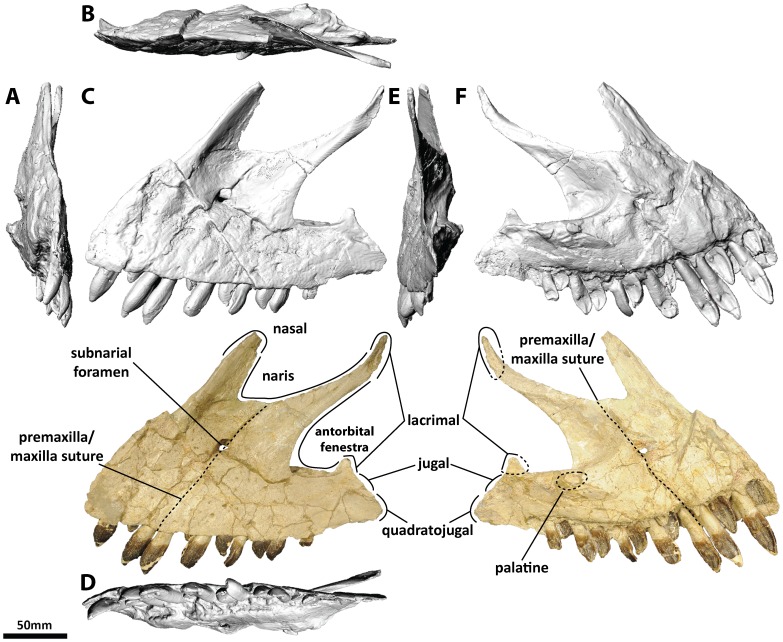 Figure 2