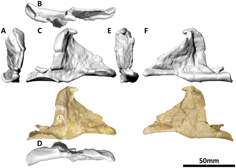 Figure 14