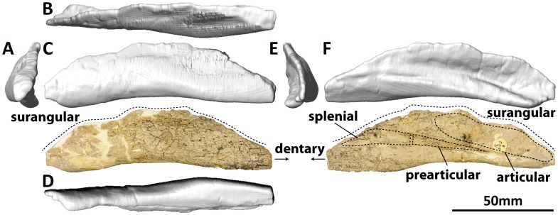 Figure 18